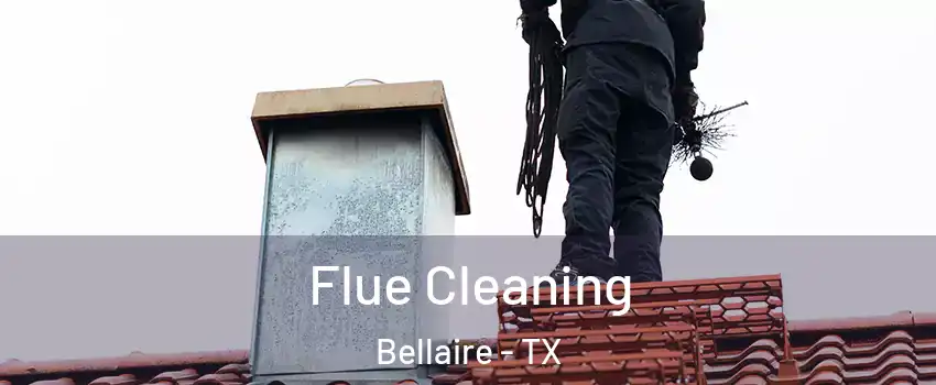  Flue Cleaning Bellaire - TX