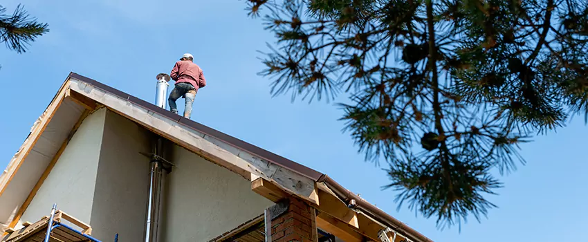 Birds Removal Contractors from Chimney in Bellaire, TX